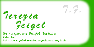 terezia feigel business card